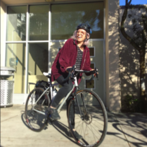 2015 Charge Plug 4 Purple and Silver or Gray