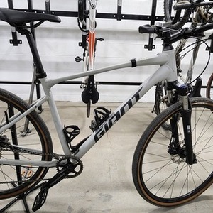 2021 Giant Roam 3