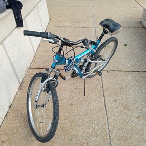 2003 Pacific Cycle XDS0702JC Teal and Silver, gray or bare metal