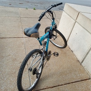 2003 Pacific Cycle XDS0702JC Teal and Silver, gray or bare metal