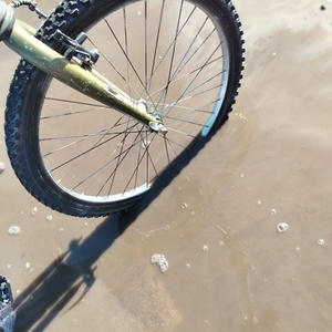 2024 Cannondale Fatty Green