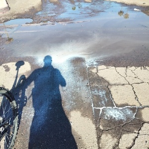 2024 Cannondale Fatty Green