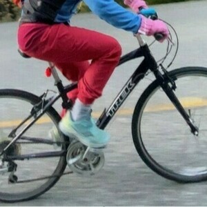 2011 Trek 7.2 FX Purple and Silver, gray or bare metal