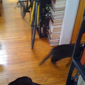 1998 GT Bicycles GTB Black