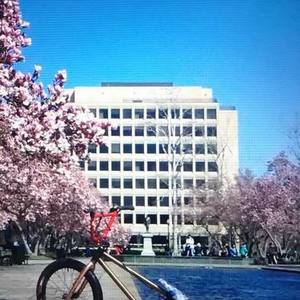 2017 Custom bike Yellow or Gold