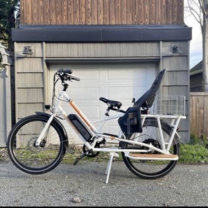 2019 Rad Power Bikes RadWagon White