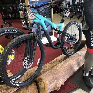 2021 Salsa Horsetheif Teal