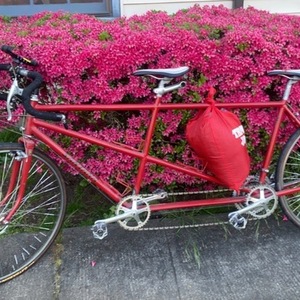 Santana Cycles tandem Red