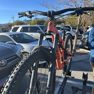 2020 Specialized Stumpjumper Pink
