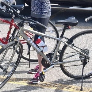 2015 Trek 500685 Silver, gray or bare metal