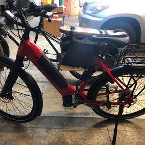 2022 Gazelle Ultimamate T 10 Red