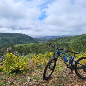 2022 Trek Fuel EX 8 Gen 5 Blue and Black