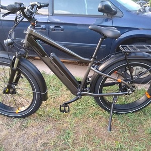 2021 Rad Power Bikes Rad Rover 6 plus Silver, gray or bare metal