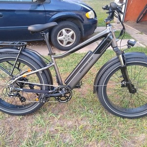 2021 Rad Power Bikes Rad Rover 6 plus Silver, gray or bare metal