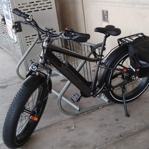 2021 Rad Power Bikes Rad Rover 6 plus Silver, gray or bare metal