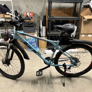 GT Bicycles Laguna Pro Blue and Red