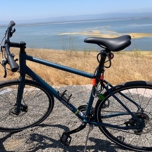 2020 REI Co-op CTY 1.1 Bike NIGHTSEA XL #1215960004 Silver, gray or bare metal