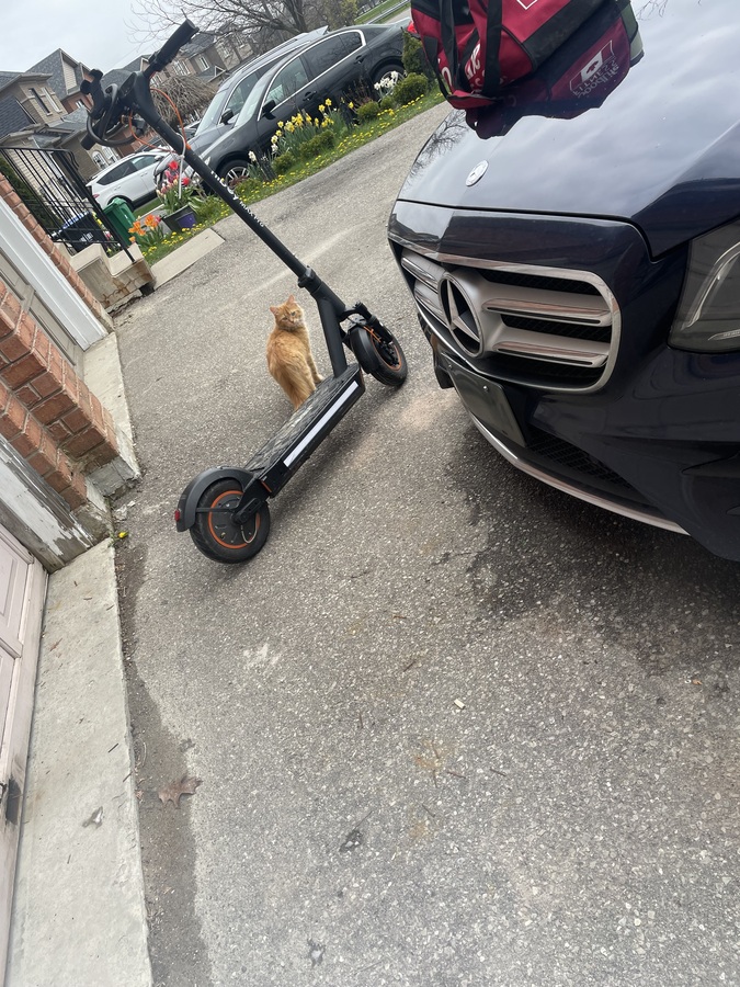 e-Scooter photo
