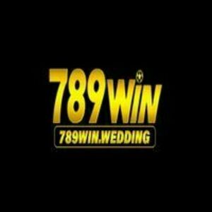 2024 Velec 789winwedding