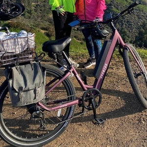 2021 Aventón Pace 350 - size Small Purple