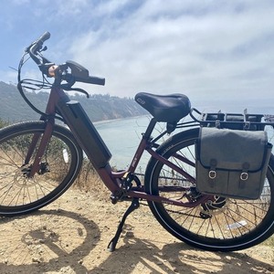 2021 Aventón Pace 350 - size Small Purple