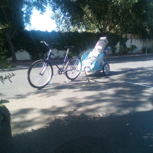 Miyata Country Runner Purple, White, and Black