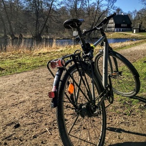 2015 Cube Travel Silver or Gray