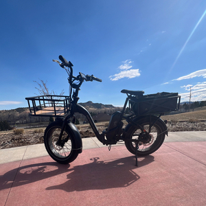 Rad Power Bikes Rad Expand 5 - Folding E-Bike Black