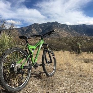 Specialized Stumpjumper FSR Green