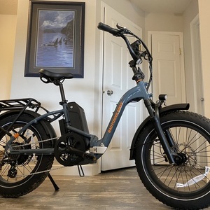 2024 Rad Power Bikes Rad Expand 5 Plus Teal