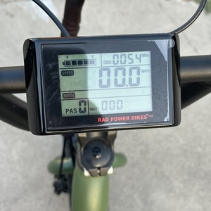 2024 Rad Power Bikes VR2121V2740 Green