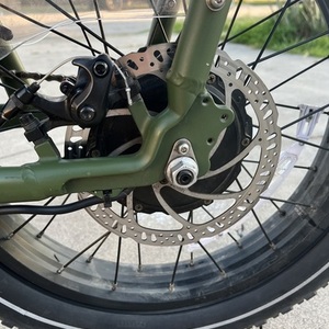 2024 Rad Power Bikes VR2121V2740 Green