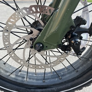 2024 Rad Power Bikes VR2121V2740 Green