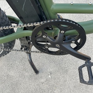 2024 Rad Power Bikes VR2121V2740 Green