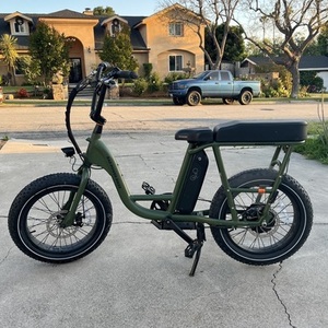 2024 Rad Power Bikes VR2121V2740 Green