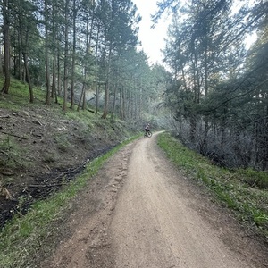 2022 Specialized Diverge Red