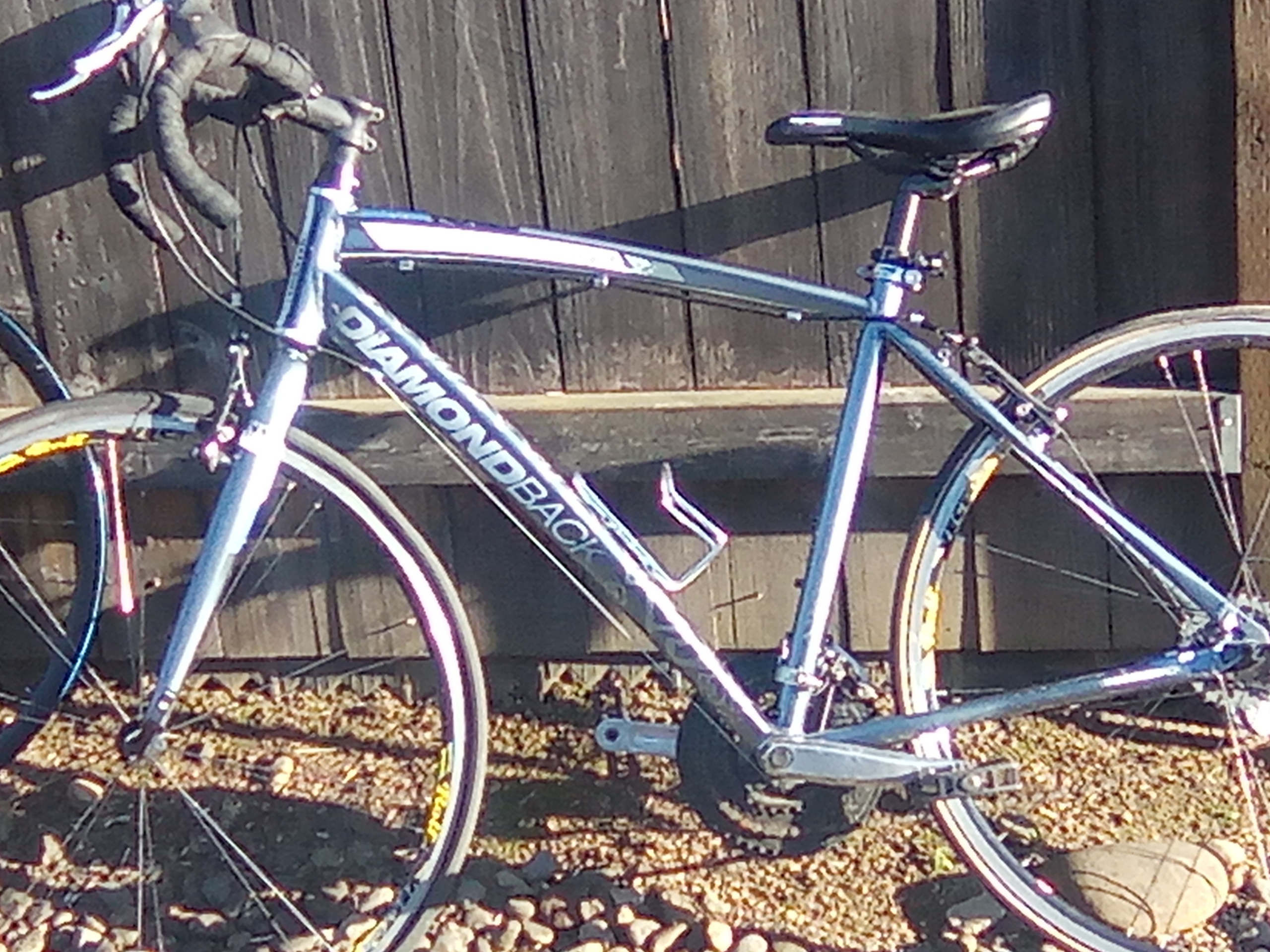 Diamondback Insight