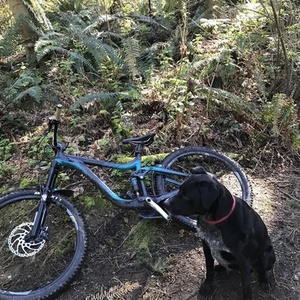 2015 Giant Reign 2 Black and Teal