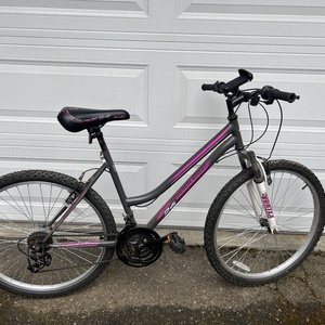 2023 Pacific Cycle mountain sport Silver, gray or bare metal, White, and Purple