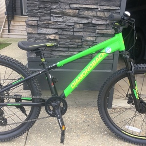 2024 Diamondback Flowdown Green and Black