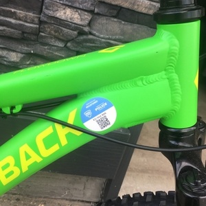 2024 Diamondback Flowdown Green and Black