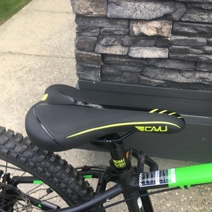 2024 Diamondback Flowdown Green and Black