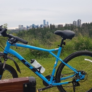 2020 GT Bicycles GT Aggressor Sport 2020 Blue