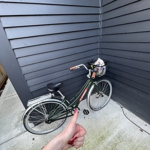 Scattante Green and Red