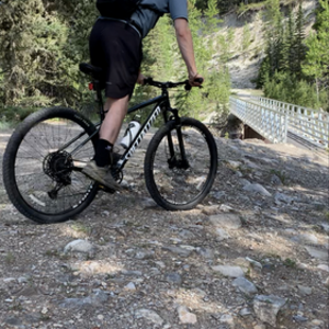 2022 Specialized Rockhopper Expert Green