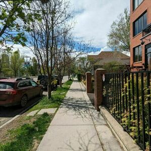 2022 Specialized Rockhopper Expert Green