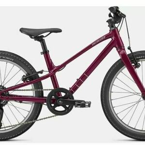 2023 Specialized Purple