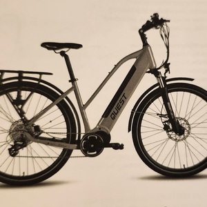 2021 Quest Mid Motor Silver, gray or bare metal