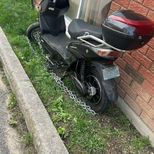 2017 Daymak Chameleon Black