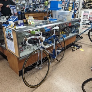 2024 Gios Torino Blue